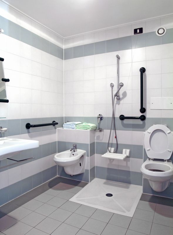 Best Accessible Bathing Contractors in Reedsburg, WI